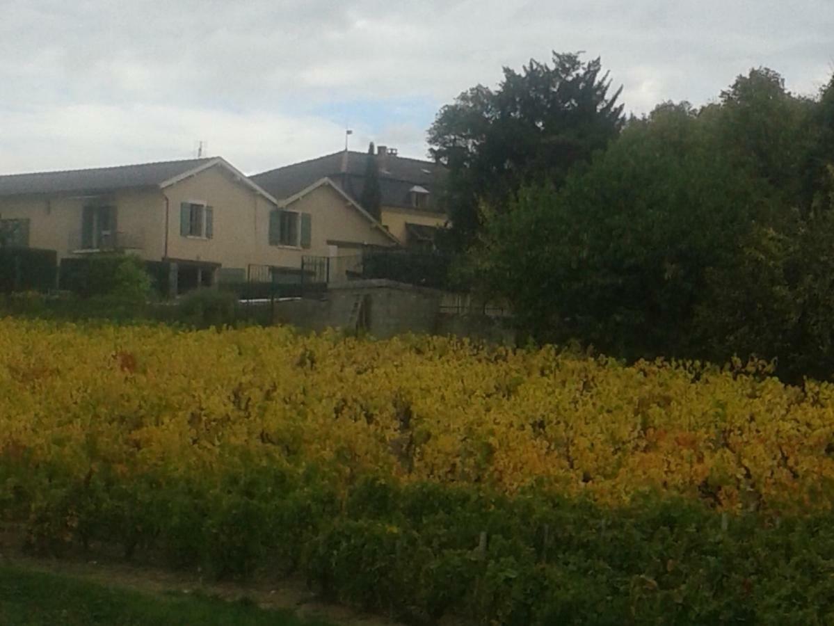 La Maison Des Vignes Charentay Luaran gambar