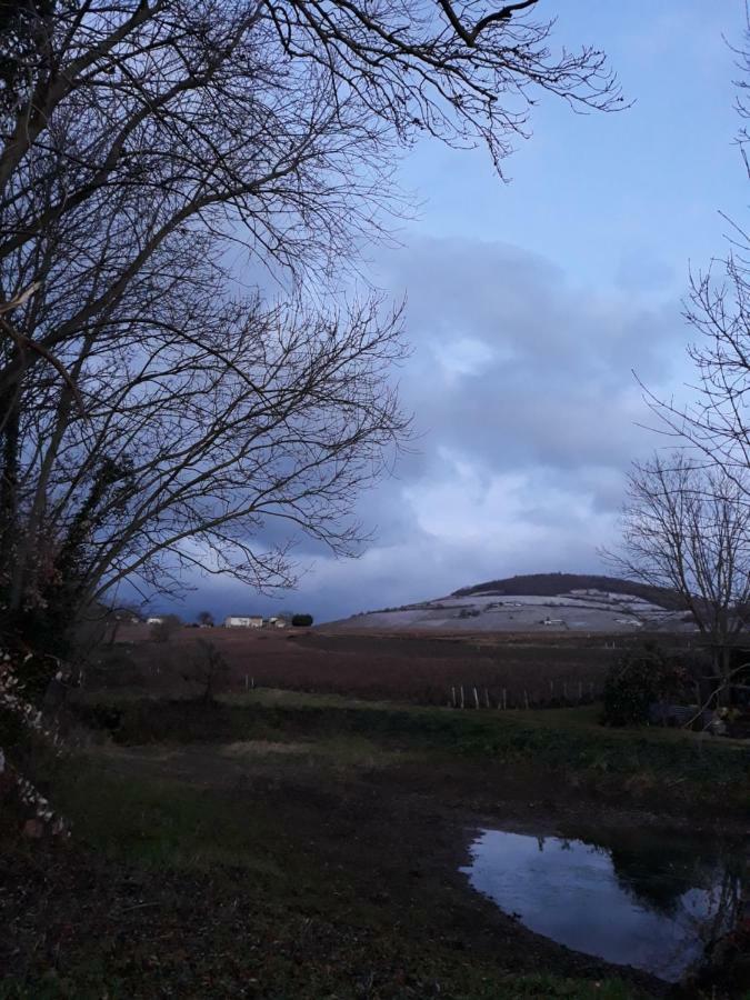 La Maison Des Vignes Charentay Luaran gambar