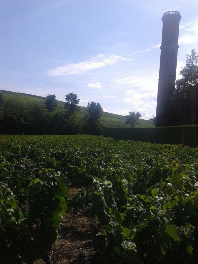 La Maison Des Vignes Charentay Luaran gambar