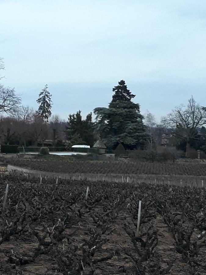 La Maison Des Vignes Charentay Luaran gambar