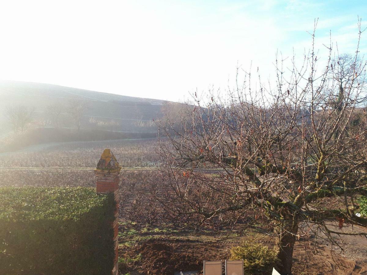 La Maison Des Vignes Charentay Luaran gambar